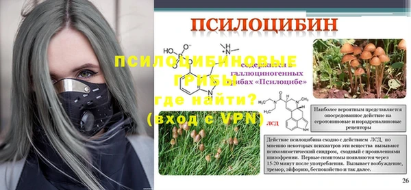 ГАЛЛЮЦИНОГЕННЫЕ ГРИБЫ Арсеньев