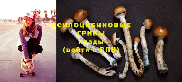 ГАЛЛЮЦИНОГЕННЫЕ ГРИБЫ Арсеньев