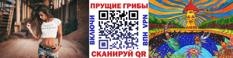 Купить  Североморск  Псилоцибиновые грибы мицелий 